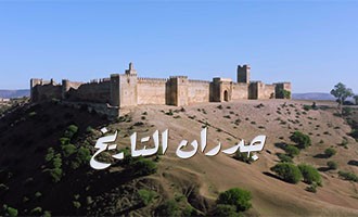 صورة بلاط المحتوى