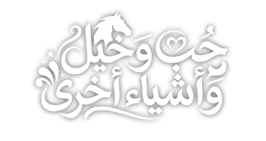 صورة بانر المحتوى المميز