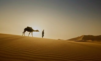 صورة حلقة المحتوى