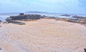 صورة حلقة المحتوى