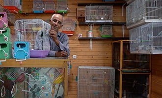 صورة حلقة المحتوى