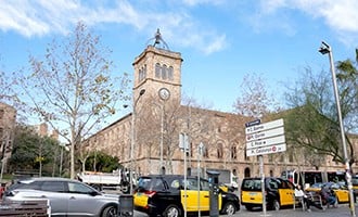 صورة حلقة المحتوى