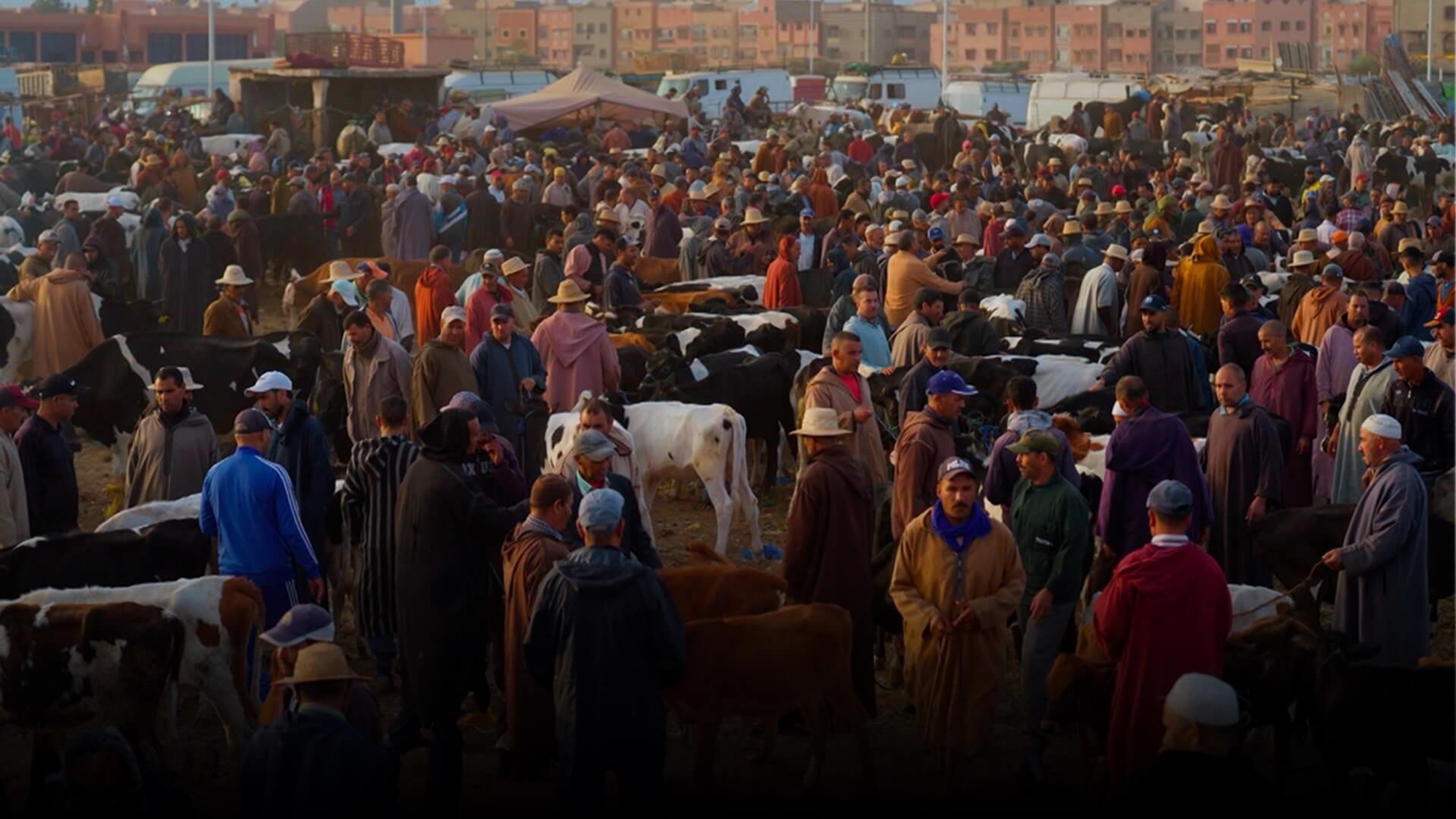 صورة بوستر المحتوى