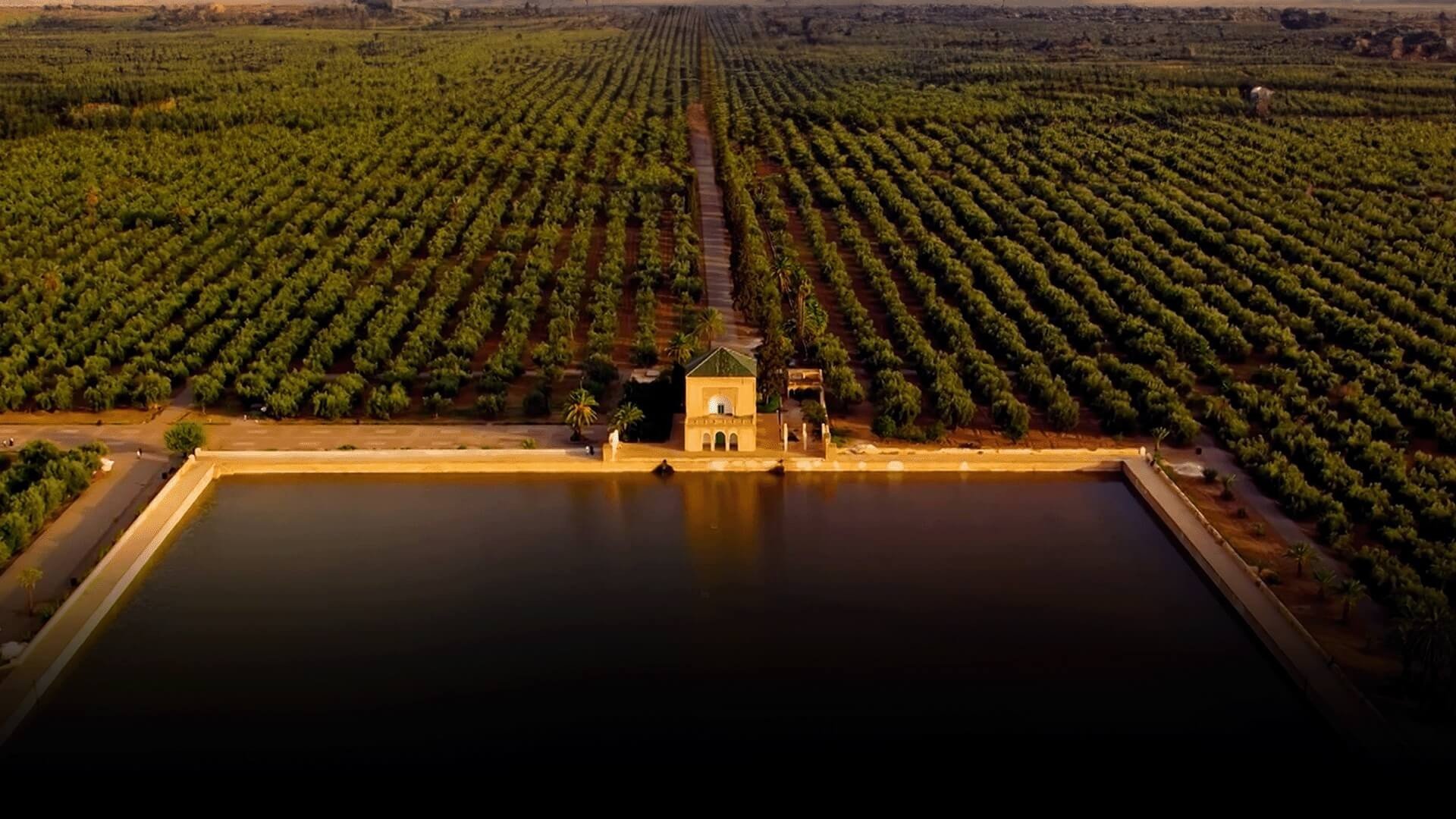 صورة بوستر المحتوى