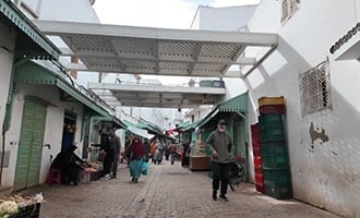 صورة حلقة المحتوى