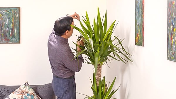 صورة حلقة المحتوى