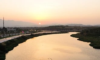 صورة حلقة المحتوى