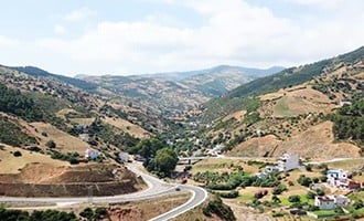 صورة حلقة المحتوى