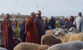 صورة حلقة المحتوى