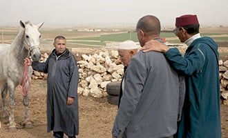 صورة حلقة المحتوى