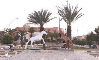 صورة حلقة المحتوى