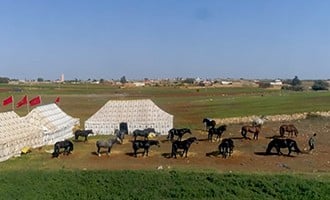 صورة حلقة المحتوى