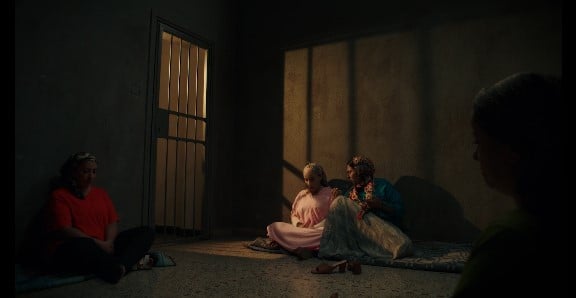 صورة حلقة المحتوى