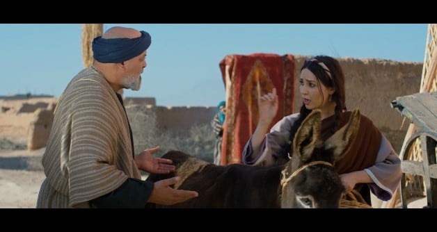 صورة حلقة المحتوى