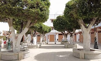 صورة حلقة المحتوى