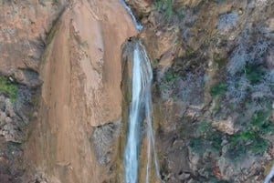 صورة حلقة المحتوى