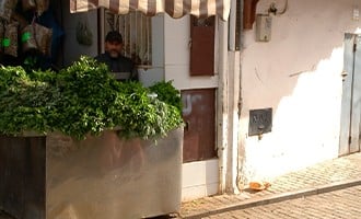 صورة حلقة المحتوى