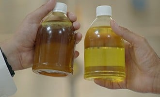 صورة حلقة المحتوى