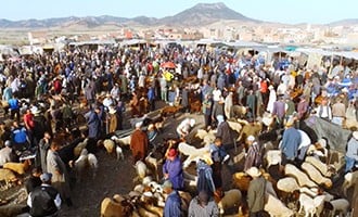 صورة حلقة المحتوى