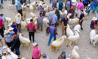 صورة حلقة المحتوى