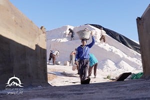 صورة حلقة المحتوى