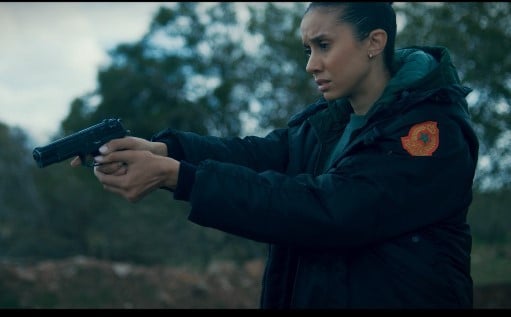 صورة حلقة المحتوى