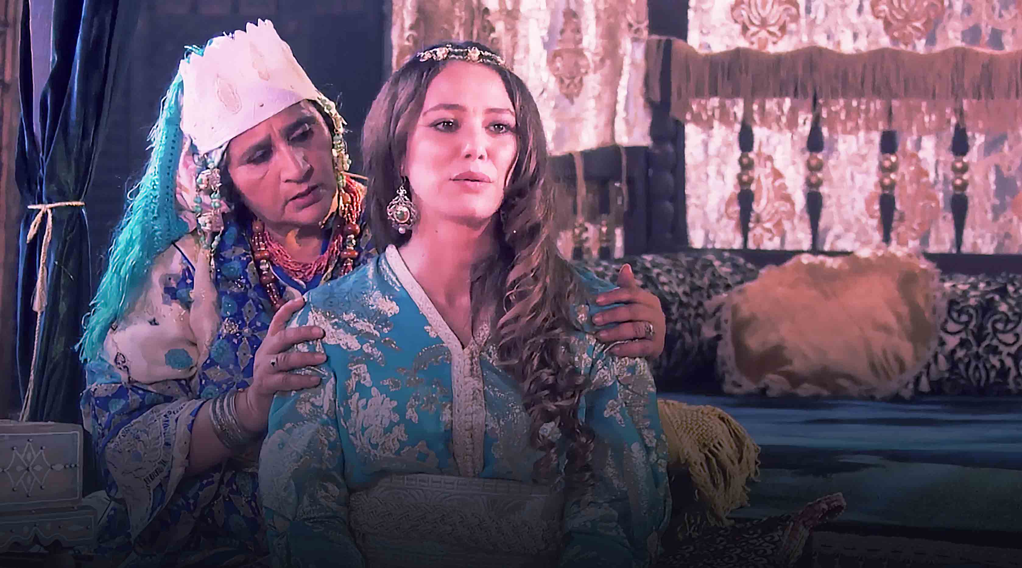 صورة حلقة المحتوى