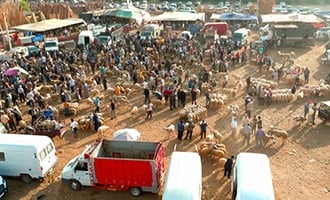 صورة حلقة المحتوى