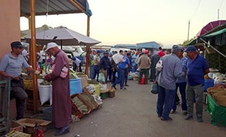 صورة حلقة المحتوى