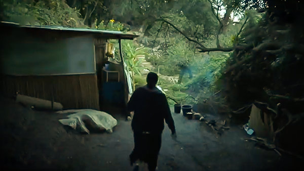 صورة حلقة المحتوى