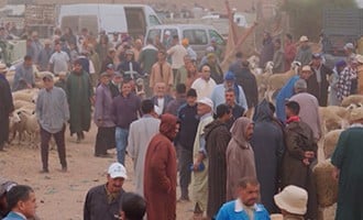 صورة حلقة المحتوى
