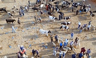 صورة حلقة المحتوى