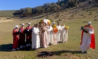 صورة حلقة المحتوى