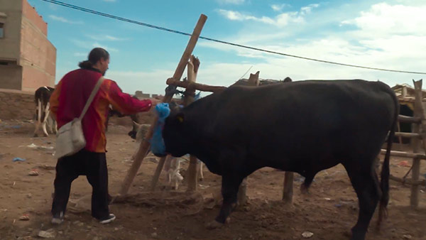 صورة حلقة المحتوى