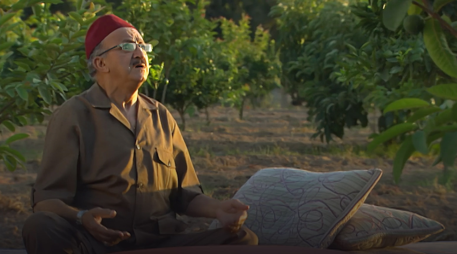 صورة حلقة المحتوى