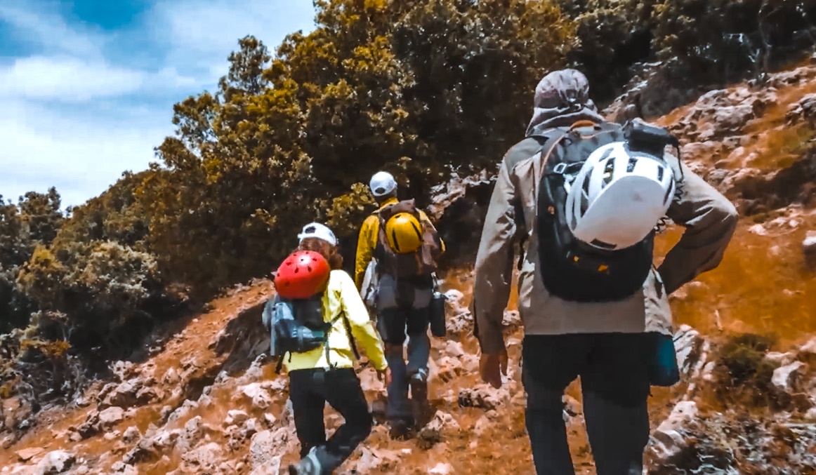 صورة حلقة المحتوى