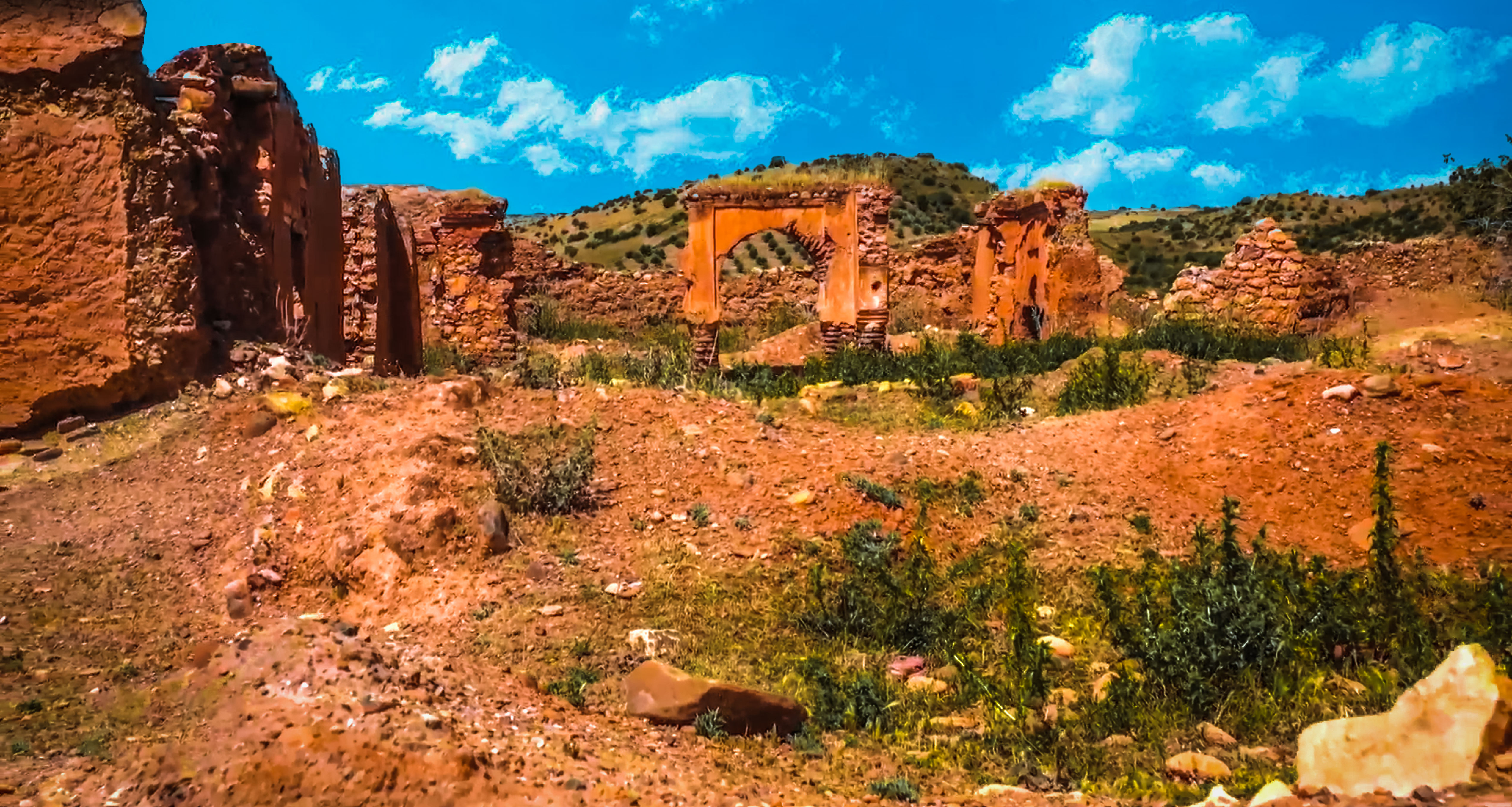 صورة حلقة المحتوى