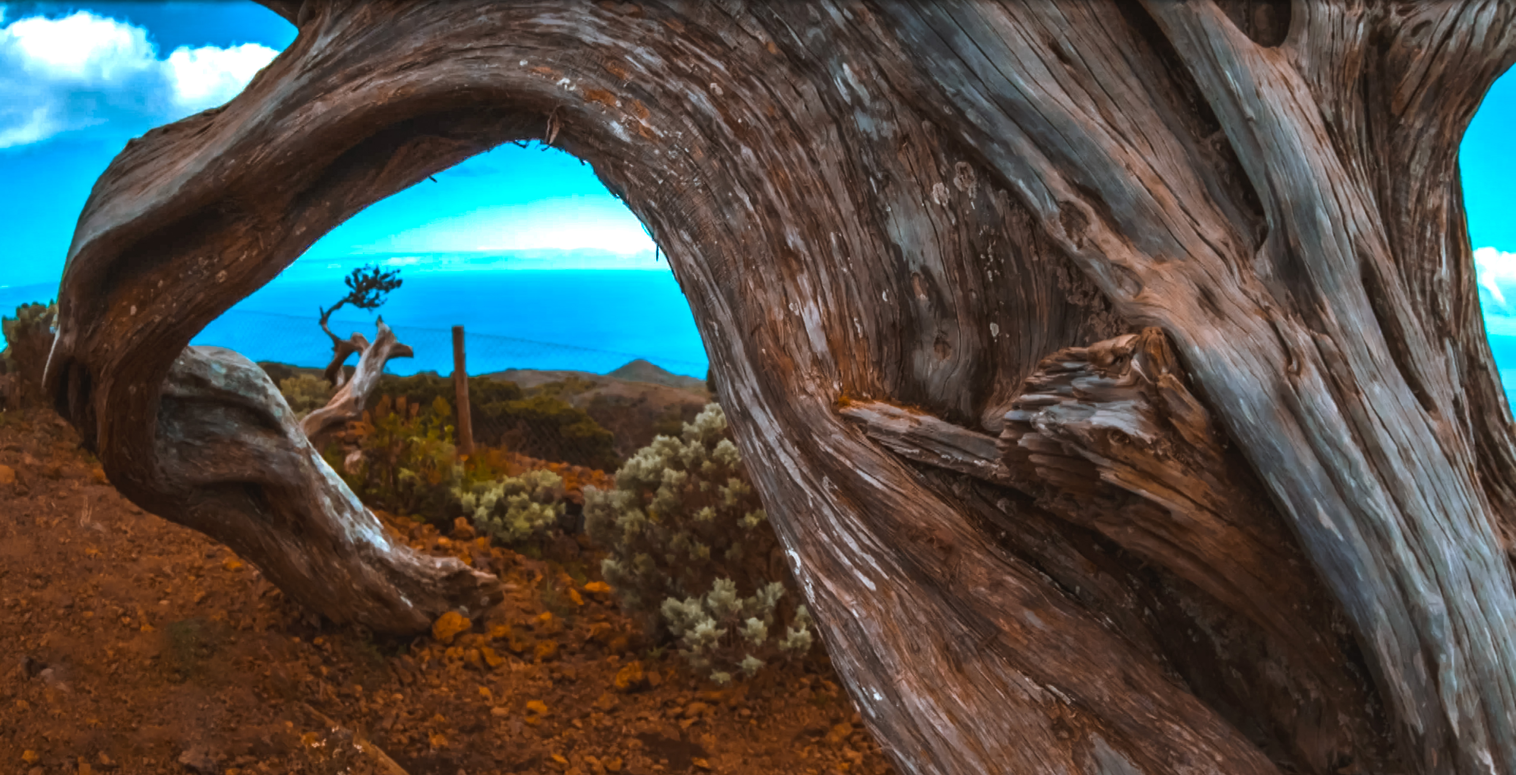 صورة حلقة المحتوى