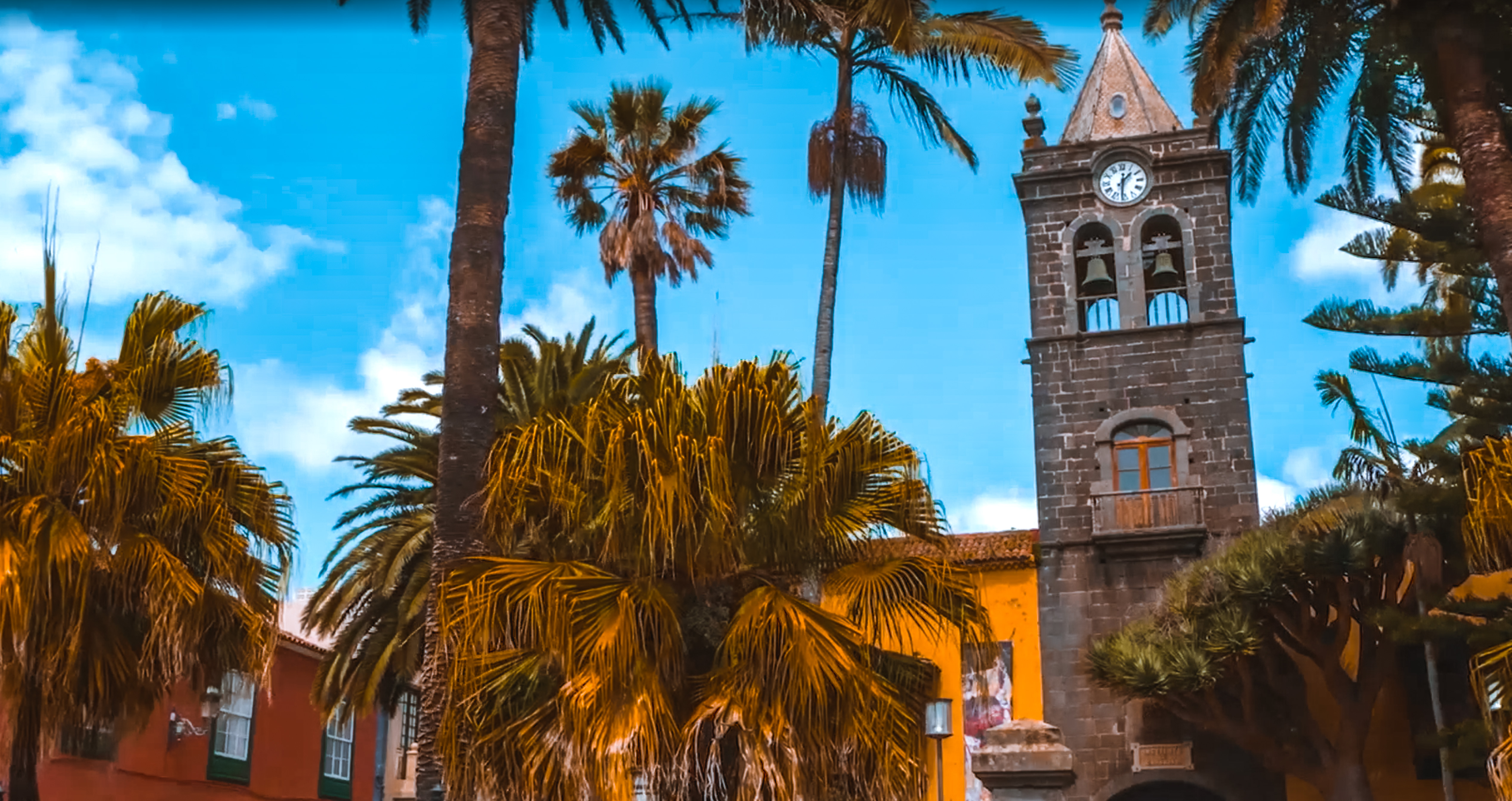 صورة حلقة المحتوى