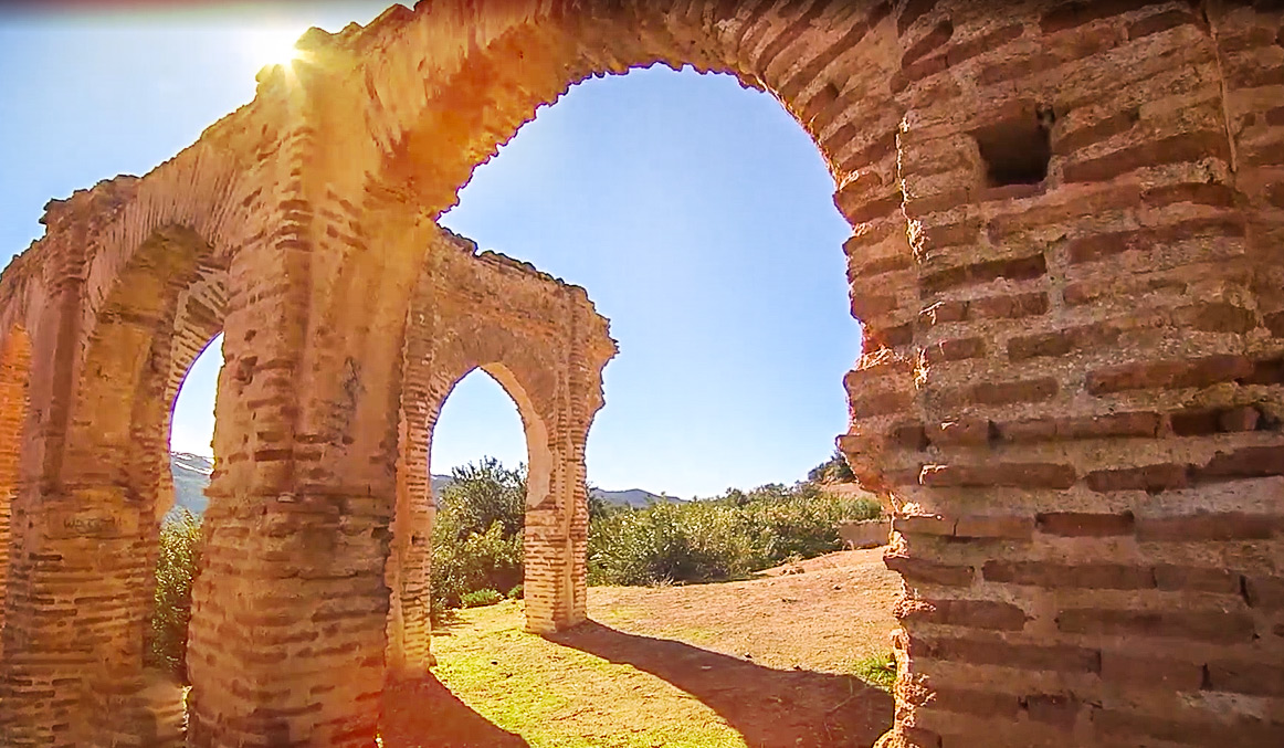 صورة حلقة المحتوى