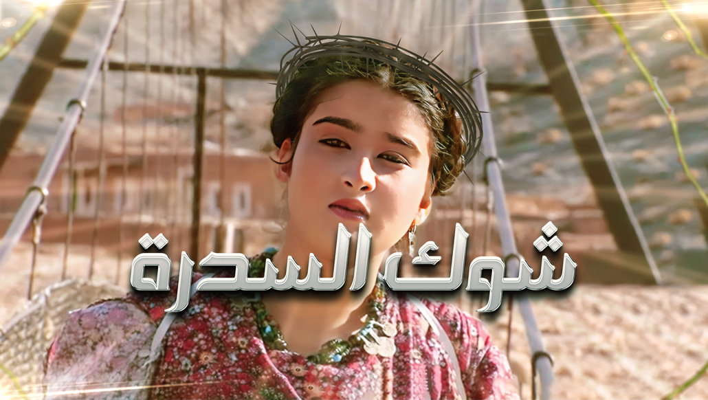 صورة بلاط المحتوى