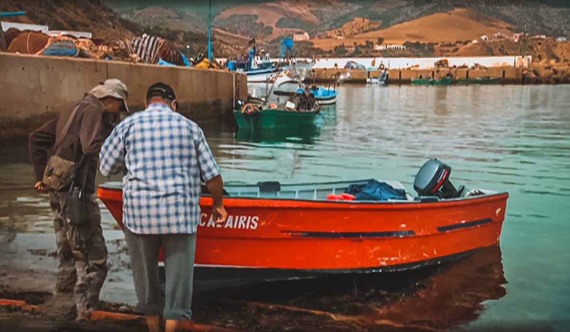 صورة حلقة المحتوى