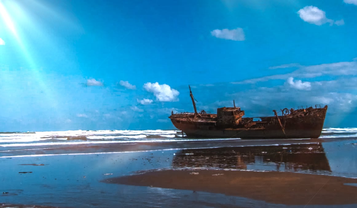 صورة حلقة المحتوى