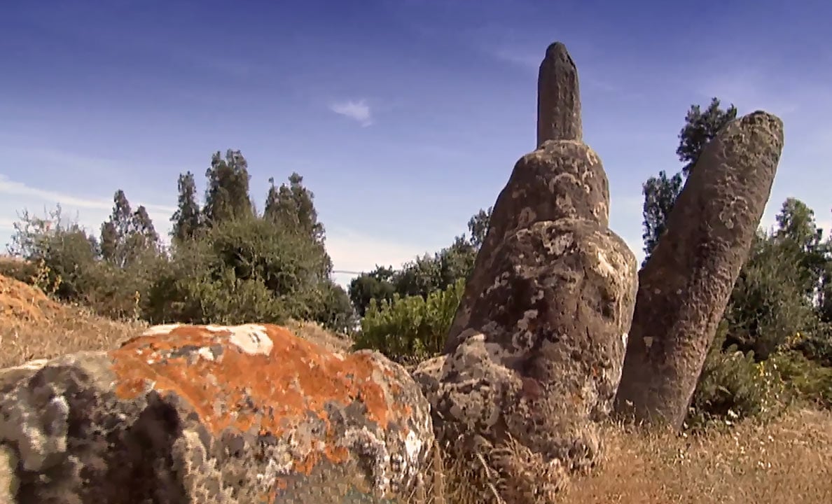 صورة حلقة المحتوى