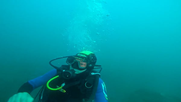 صورة حلقة المحتوى