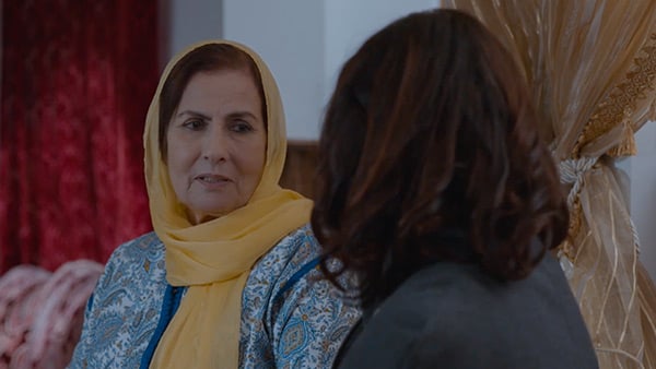 صورة حلقة المحتوى