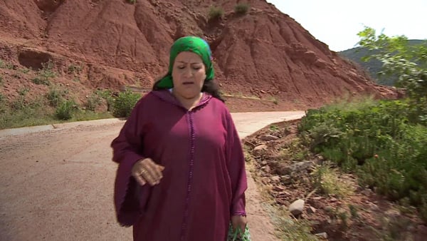 صورة حلقة المحتوى