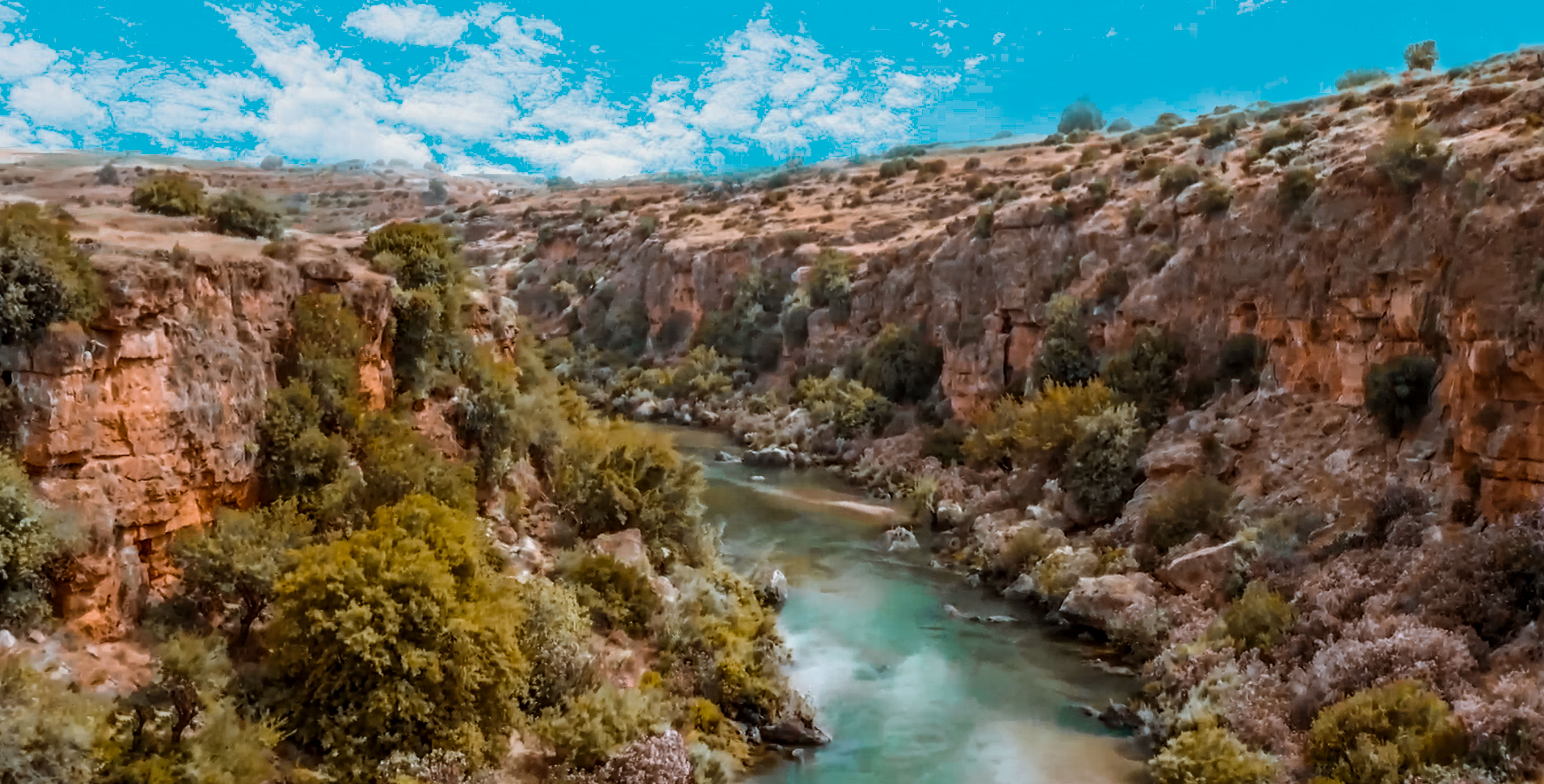 صورة حلقة المحتوى