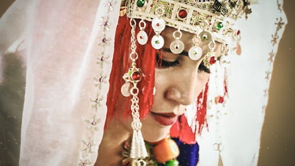 صورة حلقة المحتوى