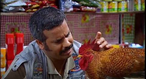 صورة حلقة المحتوى